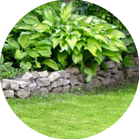 Picture of Lawn & Ornamental